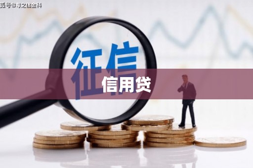 石家庄信用贷