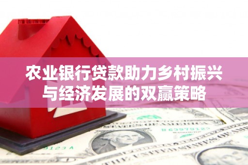 石家庄农业银行贷款助力乡村振兴与经济发展的双赢策略