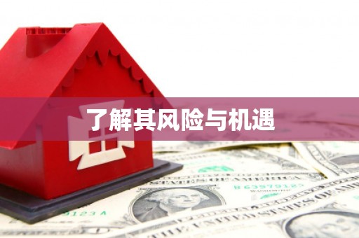 石家庄了解其风险与机遇