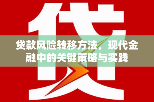 石家庄贷款风险转移方法，现代金融中的关键策略与实践