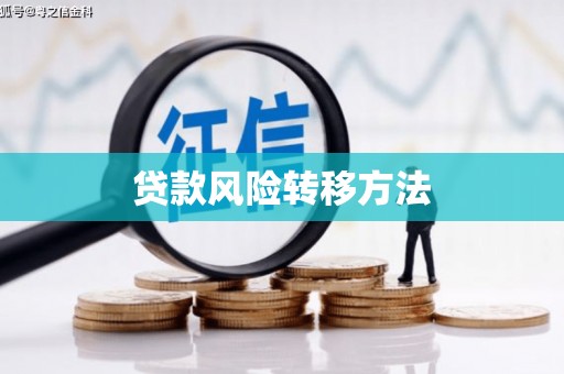 石家庄贷款风险转移方法