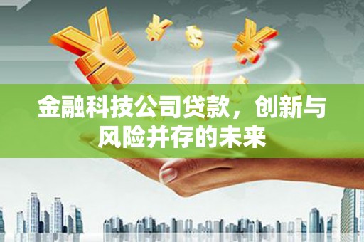 石家庄金融科技公司贷款，创新与风险并存的未来