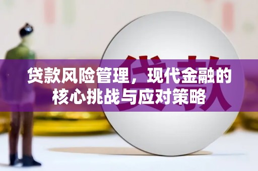 石家庄贷款风险管理，现代金融的核心挑战与应对策略