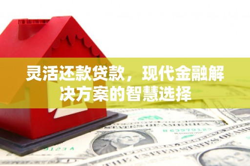 石家庄灵活还款贷款，现代金融解决方案的智慧选择