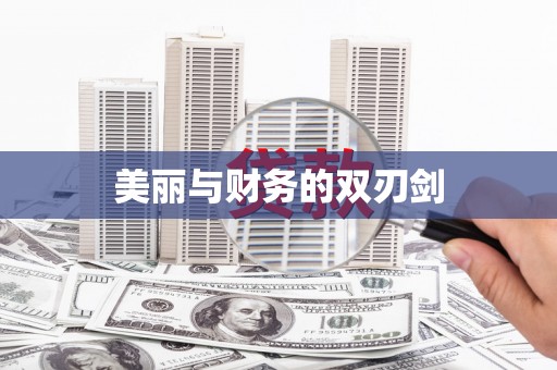 石家庄美丽与财务的双刃剑