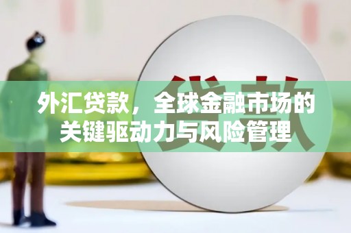 石家庄外汇贷款，全球金融市场的关键驱动力与风险管理