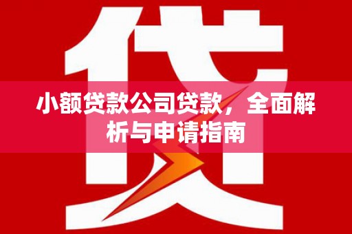 石家庄小额贷款公司贷款，全面解析与申请指南