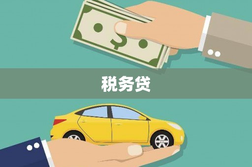 石家庄税务贷