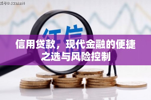 石家庄信用贷款，现代金融的便捷之选与风险控制