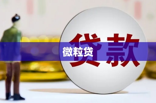 石家庄微粒贷