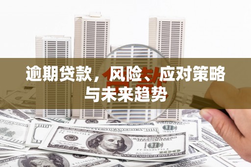 石家庄逾期贷款，风险、应对策略与未来趋势