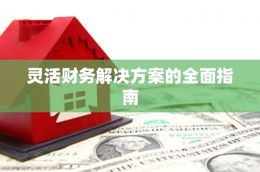 石家庄灵活财务解决方案的全面指南