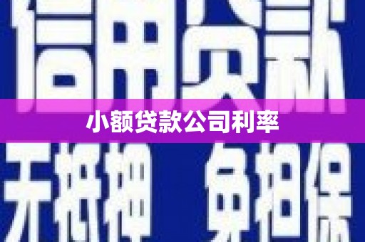 石家庄小额贷款公司利率