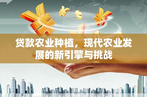石家庄贷款农业种植，现代农业发展的新引擎与挑战