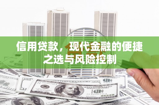 石家庄信用贷款，现代金融的便捷之选与风险控制