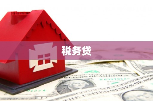 石家庄税务贷