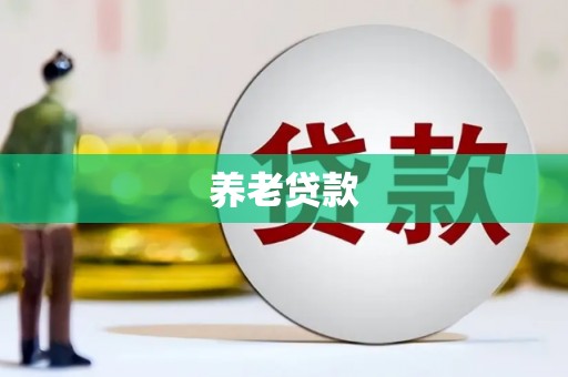 石家庄养老贷款