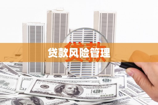 石家庄贷款风险管理