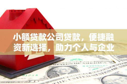 石家庄小额贷款公司贷款，便捷融资新选择，助力个人与企业成长