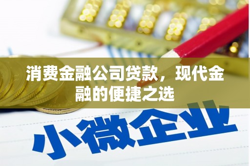 石家庄消费金融公司贷款，现代金融的便捷之选