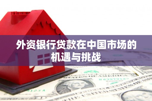 石家庄外资银行贷款在中国市场的机遇与挑战