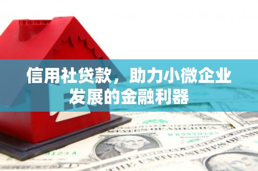 石家庄信用社贷款，助力小微企业发展的金融利器