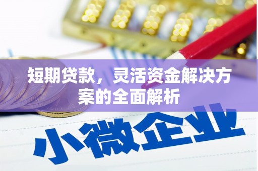 石家庄短期贷款，灵活资金解决方案的全面解析