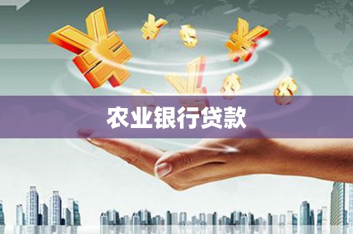 石家庄农业银行贷款