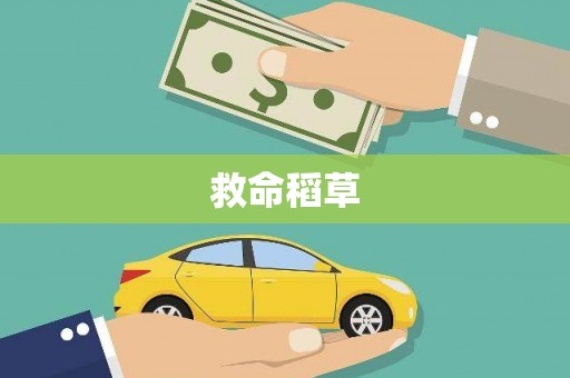 石家庄救命稻草