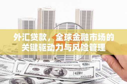 石家庄外汇贷款，全球金融市场的关键驱动力与风险管理