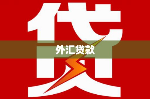 石家庄外汇贷款