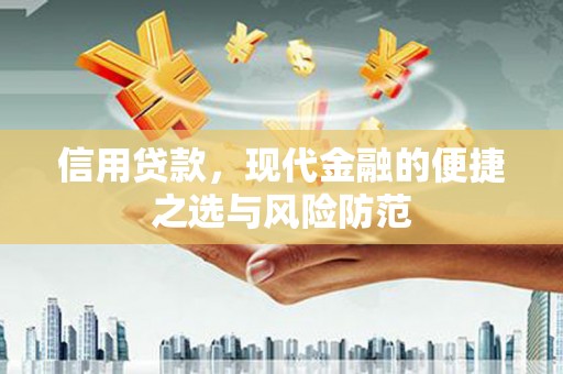 石家庄信用贷款，现代金融的便捷之选与风险防范