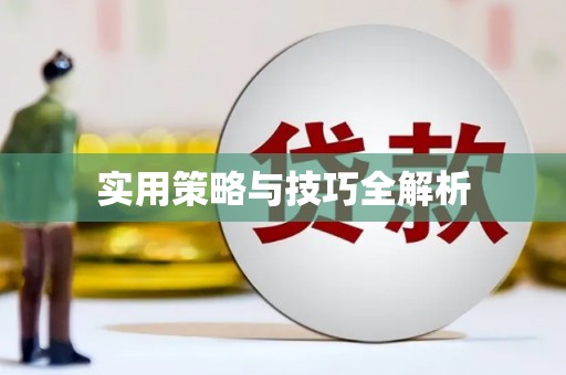 石家庄实用策略与技巧全解析