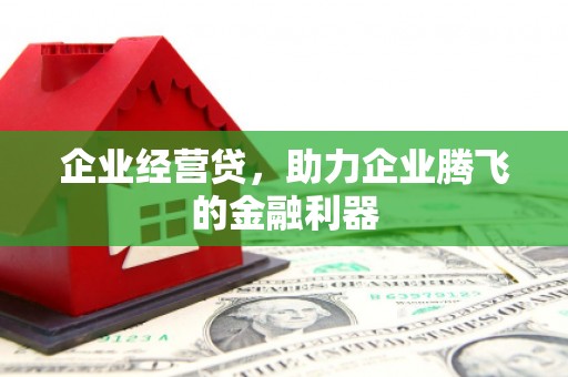 石家庄企业经营贷，助力企业腾飞的金融利器