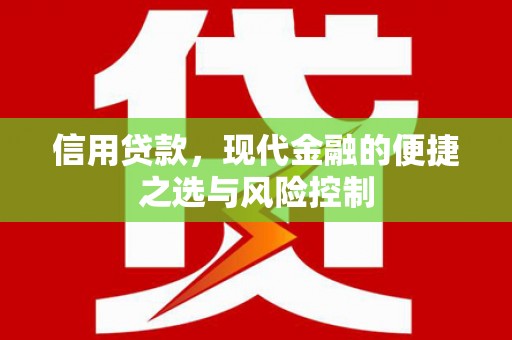 石家庄信用贷款，现代金融的便捷之选与风险控制