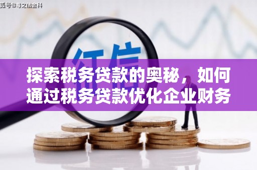 石家庄探索税务贷款的奥秘，如何通过税务贷款优化企业财务
