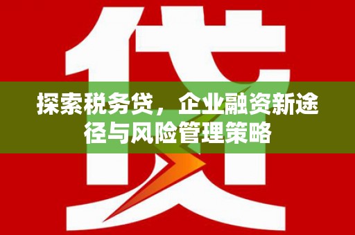 石家庄探索税务贷，企业融资新途径与风险管理策略