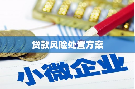 石家庄贷款风险处置方案