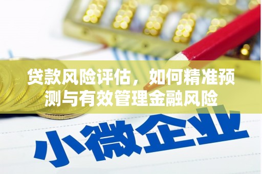 石家庄贷款风险评估，如何精准预测与有效管理金融风险