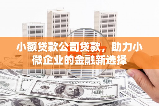 石家庄小额贷款公司贷款，助力小微企业的金融新选择
