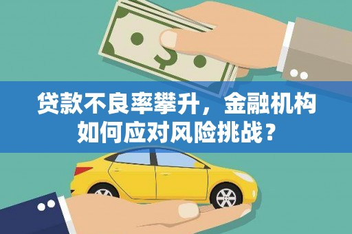 石家庄贷款不良率攀升，金融机构如何应对风险挑战？