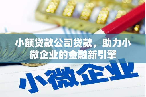 石家庄小额贷款公司贷款，助力小微企业的金融新引擎
