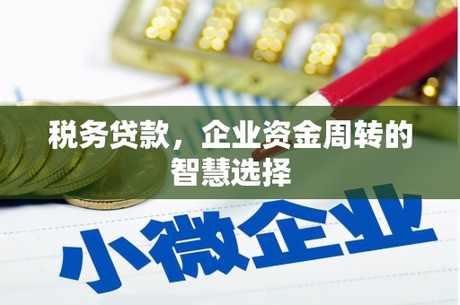 石家庄税务贷款，企业资金周转的智慧选择