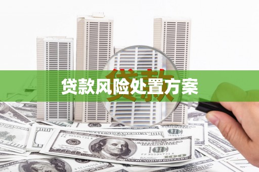 石家庄贷款风险处置方案