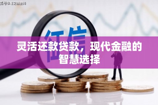 石家庄灵活还款贷款，现代金融的智慧选择