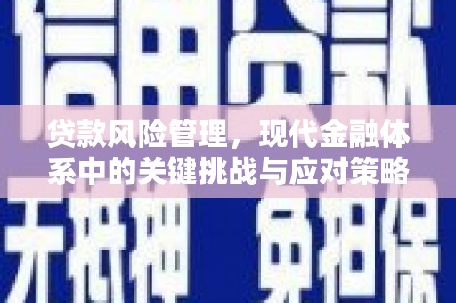 石家庄贷款风险管理，现代金融体系中的关键挑战与应对策略