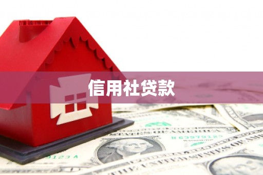 石家庄信用社贷款