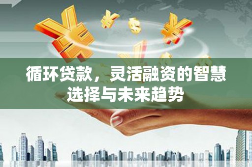 石家庄循环贷款，灵活融资的智慧选择与未来趋势