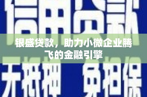 石家庄银盛贷款，助力小微企业腾飞的金融引擎