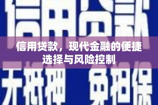 石家庄信用贷款，现代金融的便捷选择与风险控制